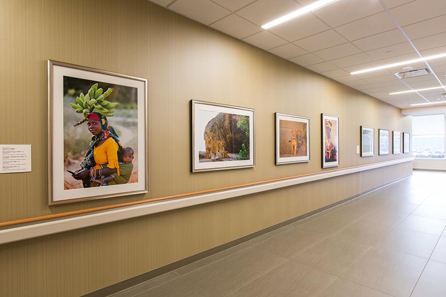 Howard G. Buffett Gallery in the Buffett Cancer Center.