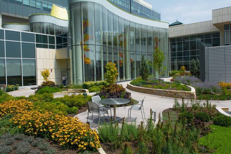 Leslie's Healing Garden Healing Arts Healing Arts University of